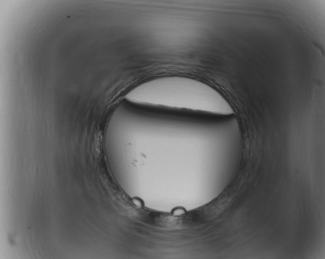X0000100380325200806060832
