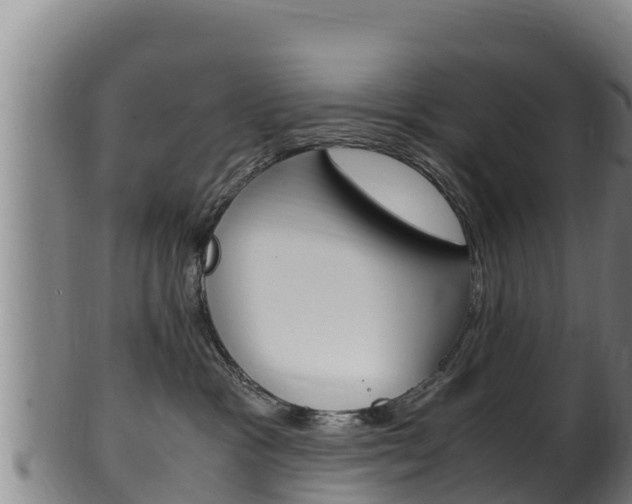 X0000100380333200806060832