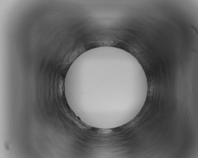 X0000100380334200806060832