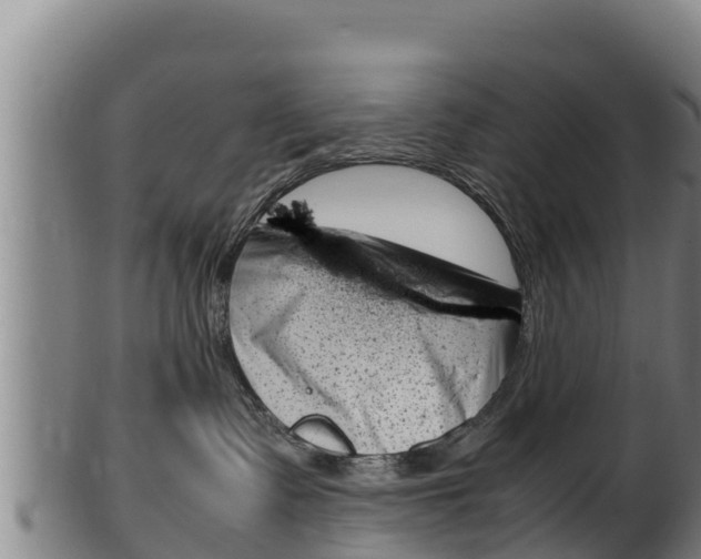 X0000100380335200806060832