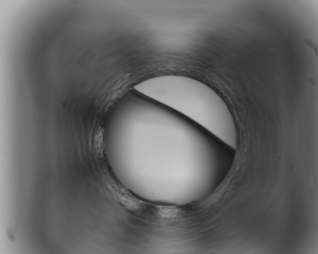 X0000100380336200806060832