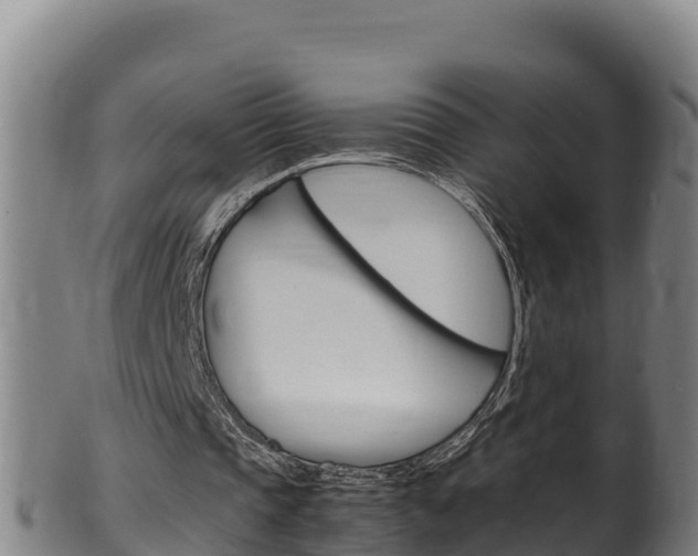 X0000100380337200806060831