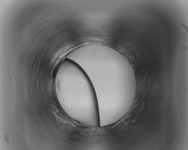 X0000100380338200806060831