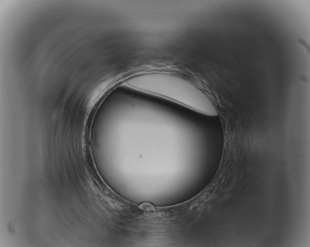 X0000100380340200806060831