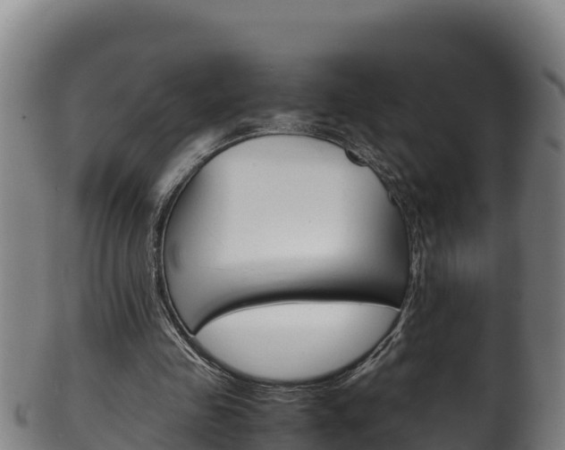 X0000100380341200806060831