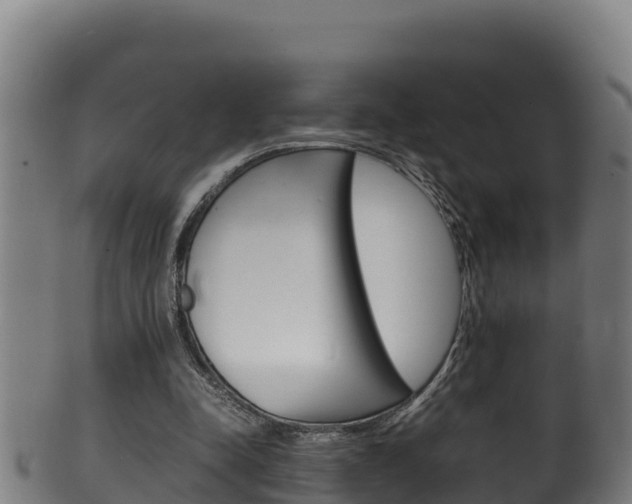 X0000100380342200806060831