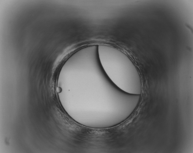 X0000100380343200806060831