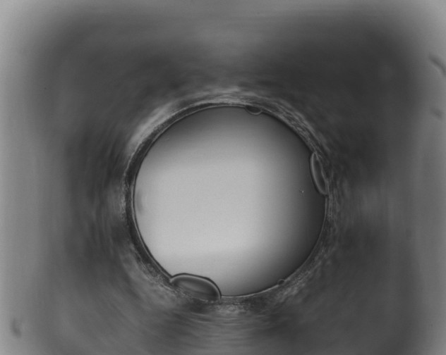 X0000100380344200806060831