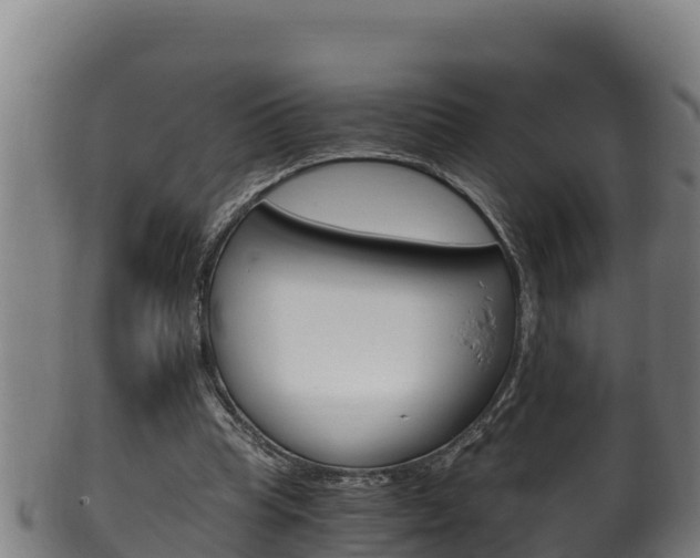 X0000100380345200806060831