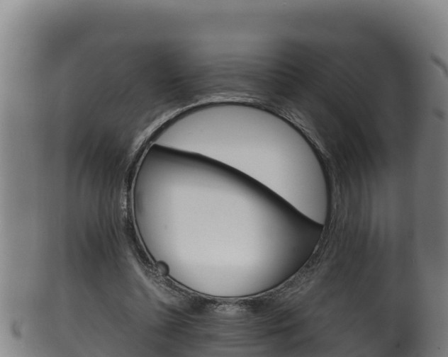 X0000100380348200806060831