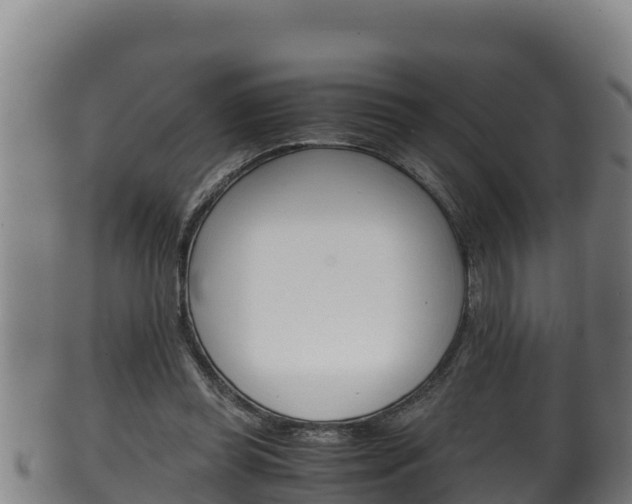 X0000100380349200806060832