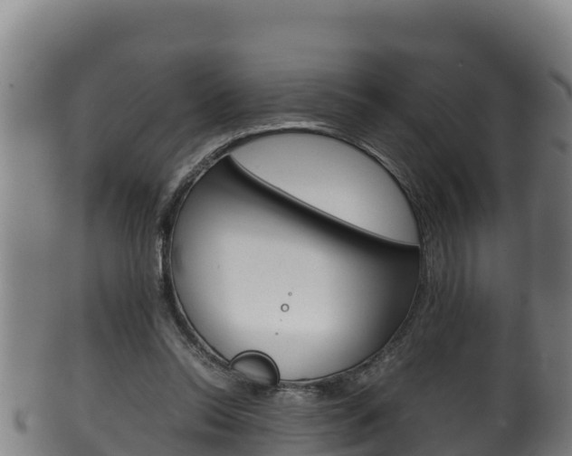 X0000100380350200806060832
