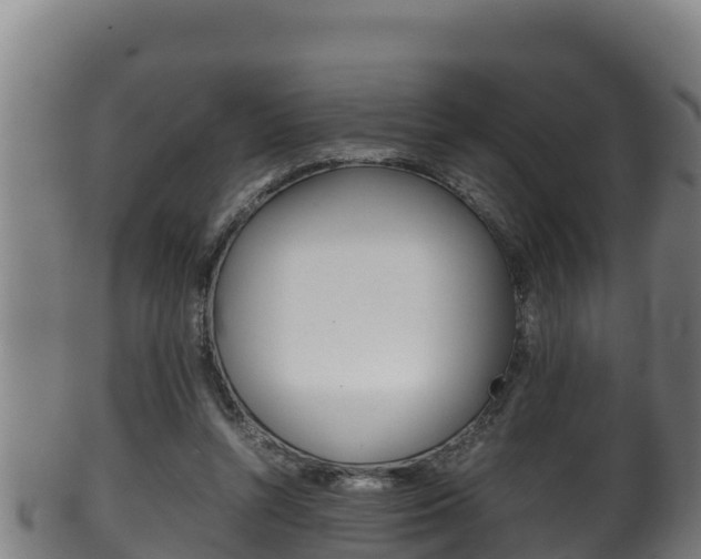 X0000100380352200806060832