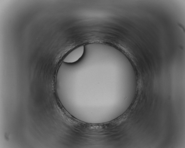 X0000100380353200806060832