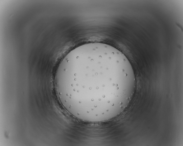 X0000100380354200806060832