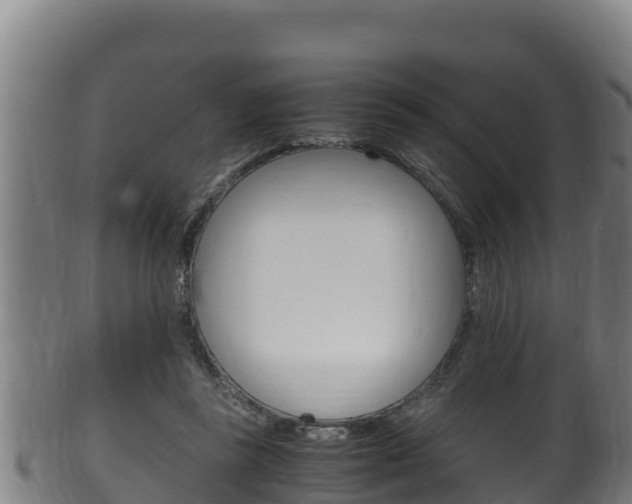 X0000100380355200806060832