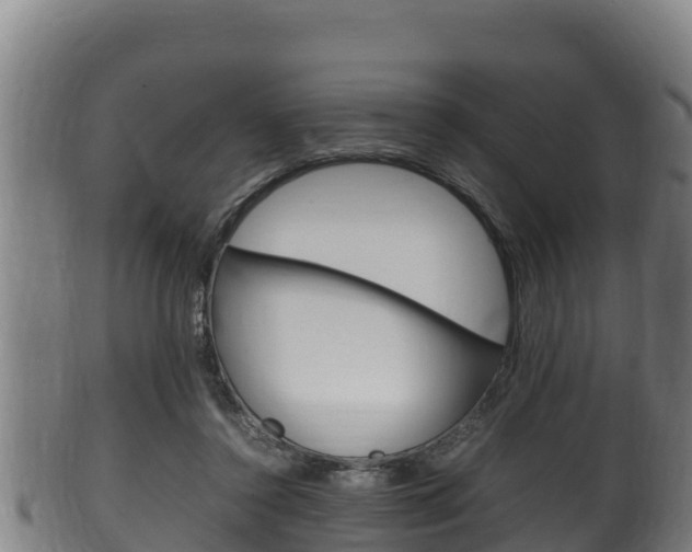 X0000100380356200806060832