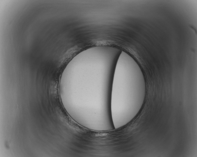 X0000100380357200806060832