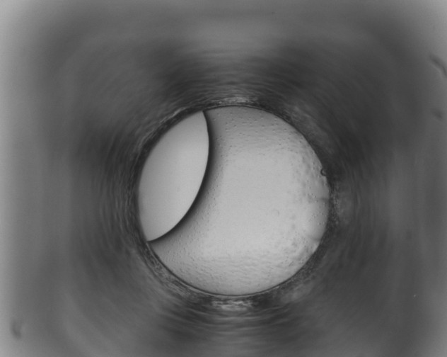 X0000100380359200806060832