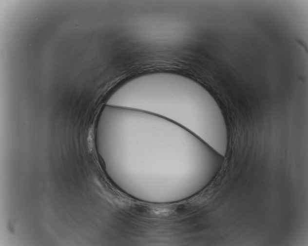 X0000100380360200806060832