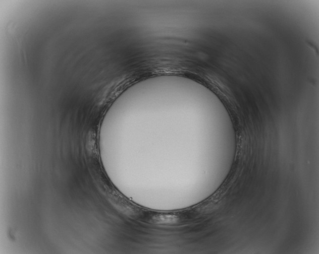 X0000100380361200806060832