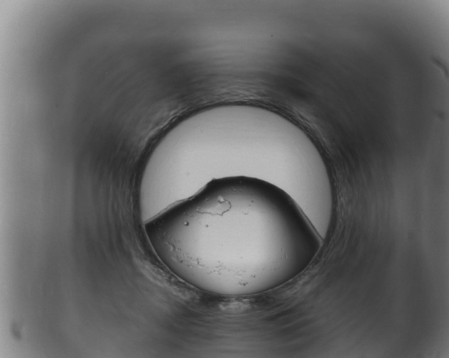 X0000100380362200806060832