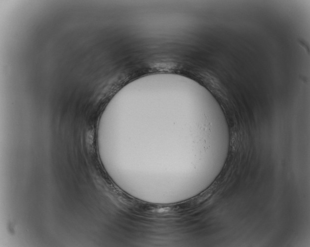 X0000100380365200806060832