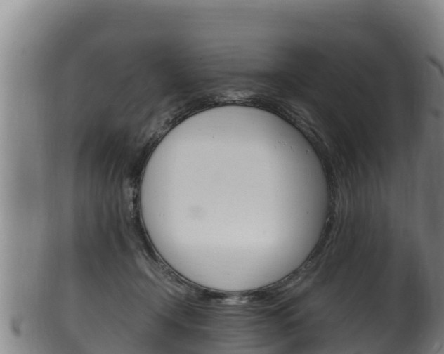X0000100380366200806060832