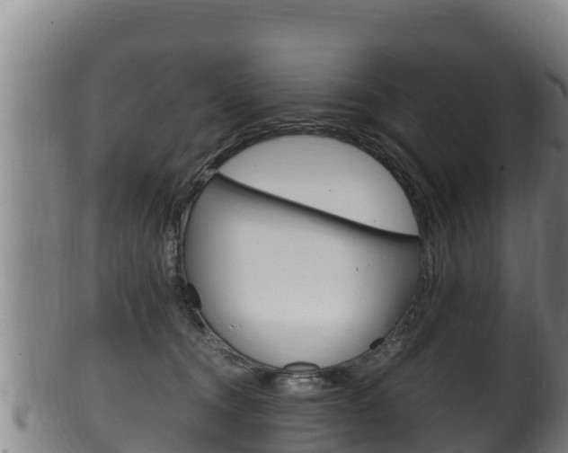 X0000100380372200806060832