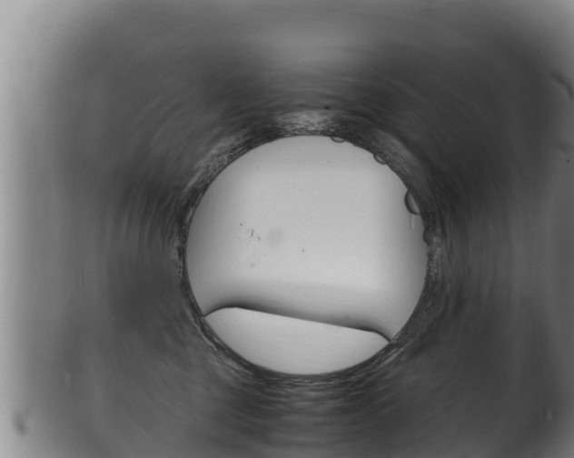 X0000100380377200806060832