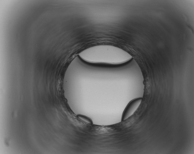 X0000100380379200806060832
