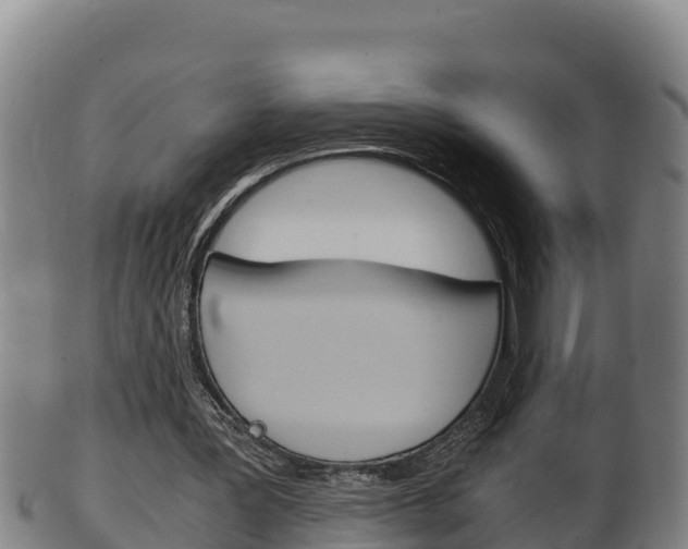 X0000100380387200806060831
