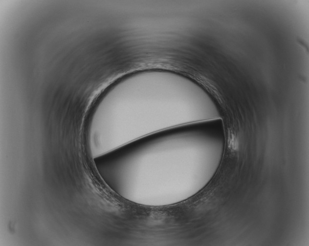 X0000100380388200806060831