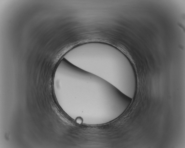X0000100380389200806060831