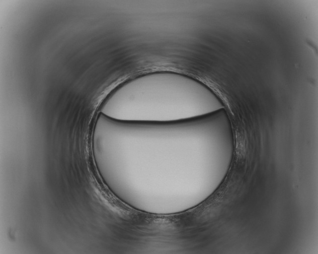 X0000100380390200806060831