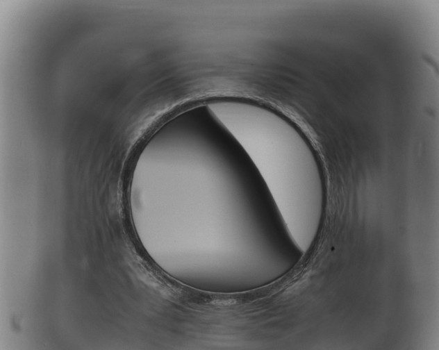 X0000100380391200806060831