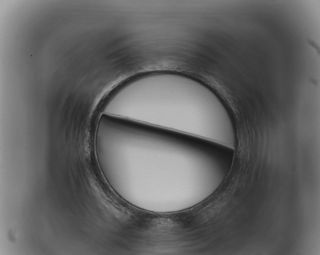 X0000100380392200806060831