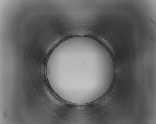X0000100380394200806060831