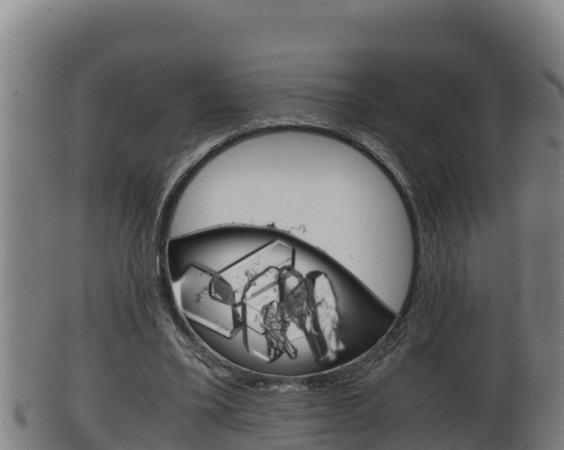 X0000100380395200806060831