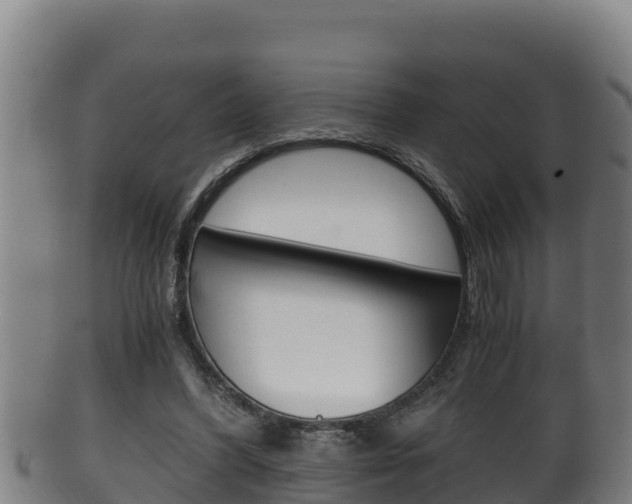 X0000100380396200806060831