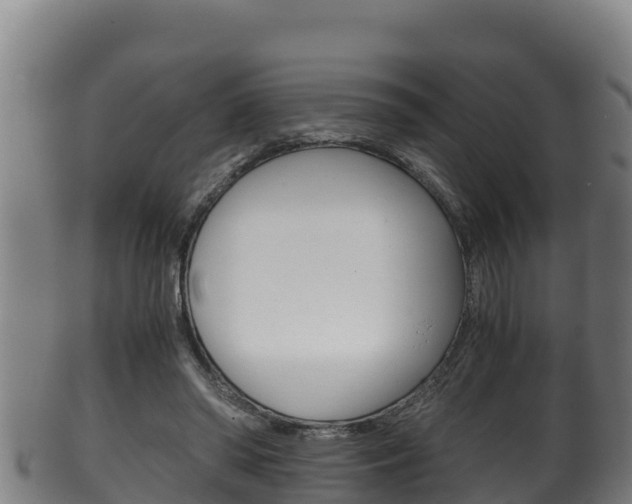 X0000100380398200806060831