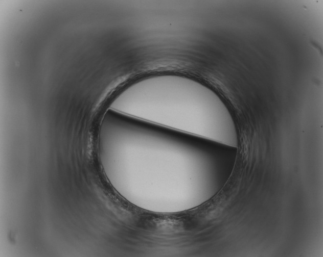 X0000100380400200806060831