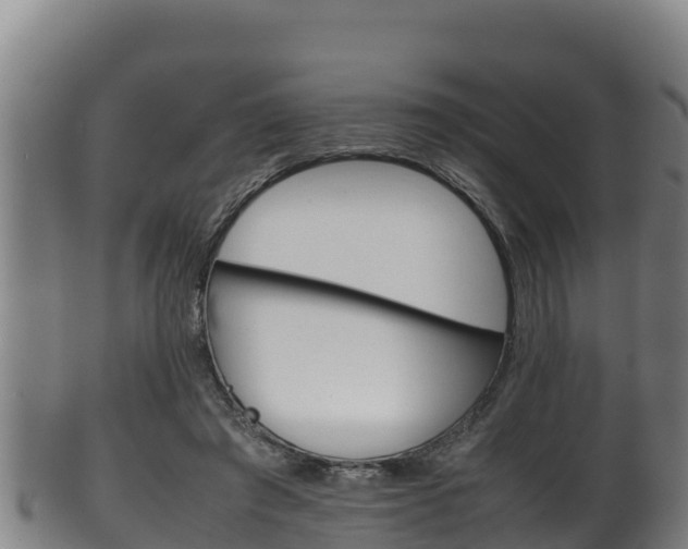 X0000100380401200806060831