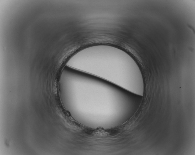 X0000100380403200806060831