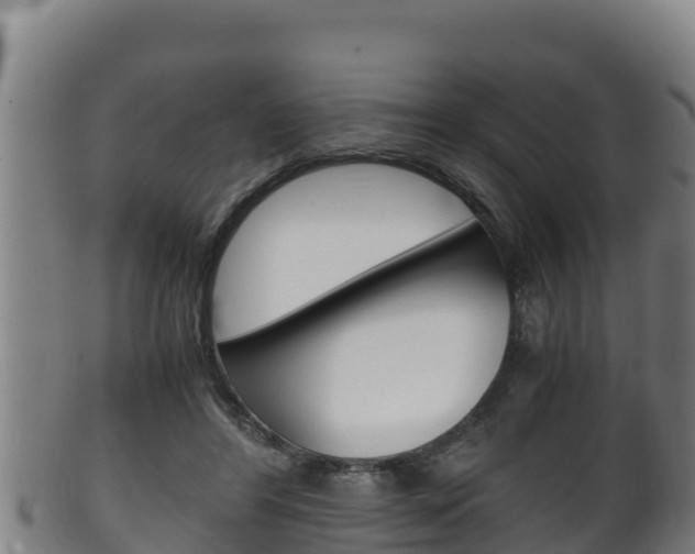X0000100380404200806060831