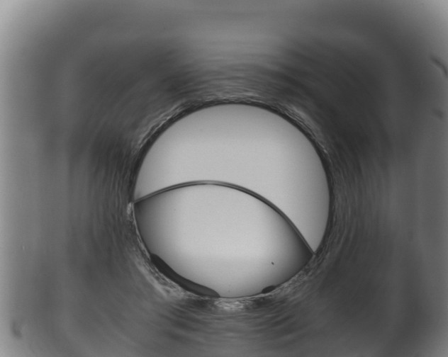 X0000100380405200806060831