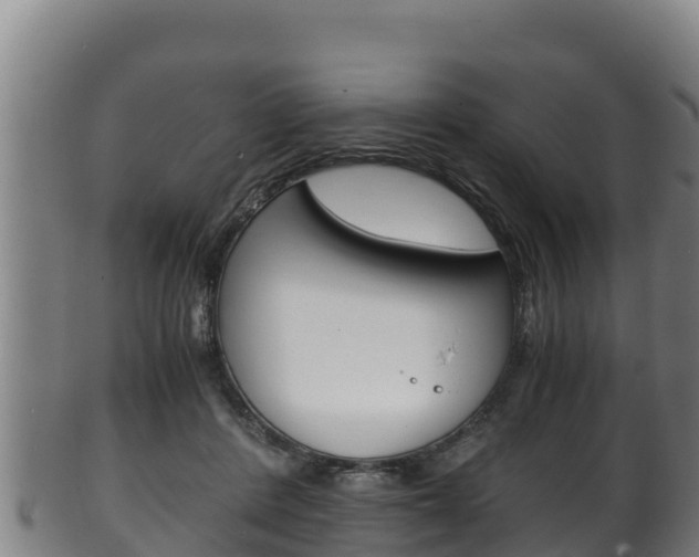 X0000100380408200806060831