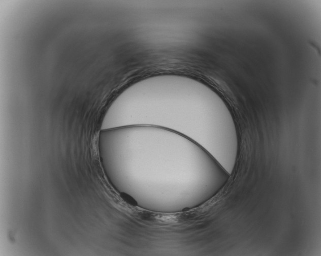 X0000100380409200806060831
