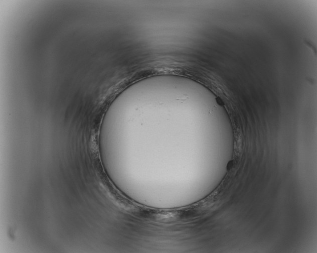 X0000100380411200806060831
