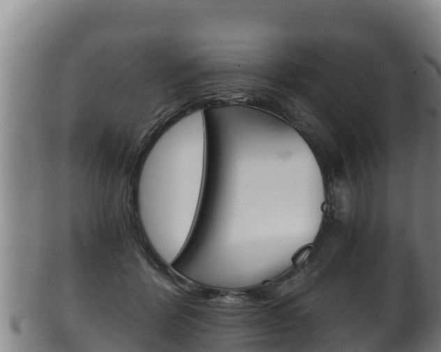 X0000100380412200806060831